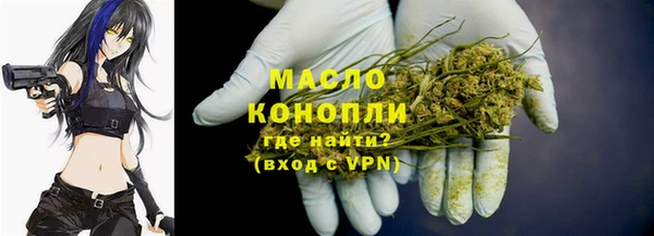 мдпв Карпинск