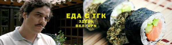 мдпв Карпинск