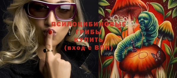стаф Киренск