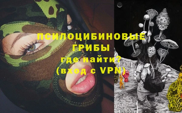 СК Касимов