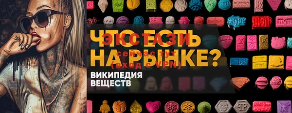 мдпв Карпинск