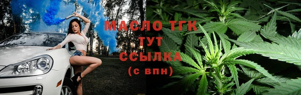 мдпв Карпинск