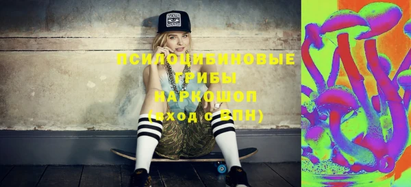 мдпв Карпинск