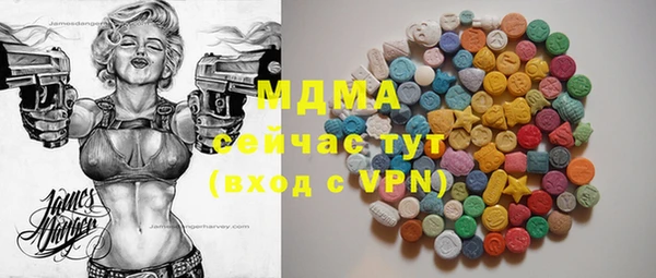 мдпв Карпинск