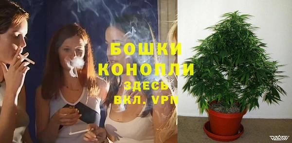 мдпв Карпинск