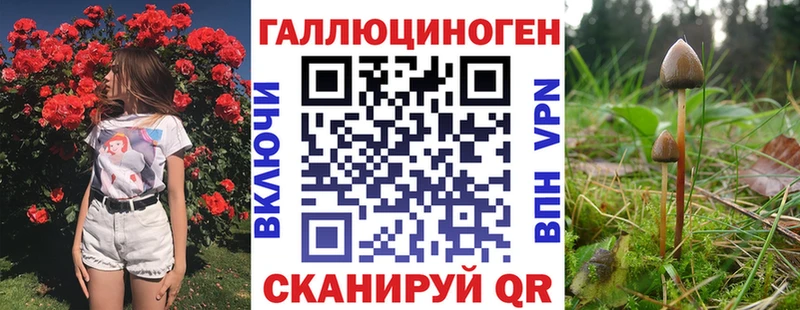 Галлюциногенные грибы MAGIC MUSHROOMS Баймак