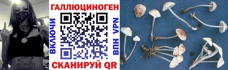 Галлюциногенные грибы GOLDEN TEACHER  Купить  Баймак 
